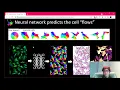 Carsen Stringer Cellpose Suite2p anatomical and functional algorithms for cellular segmentation