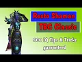 Everything You Need To Know Resto Shaman TBC