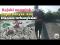 Download Lagu Rezeki nomplok ! Awalnya sedih banyak ikan mati tak disangka masih banyak ikan gabus dan nila babon