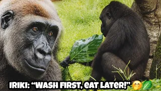 Wash, inspect, then taste—Grandma has the whole routine figured out! 😋🌿洗一洗、看一看、最後再試吃，艾媽流程超完整