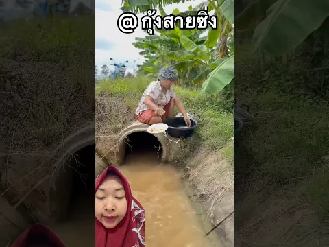 Nenek cuci piring di kali⁉️ กุ้งสายซิ่ง
