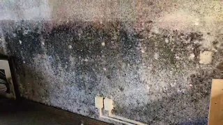 TUCSON HOTEL INVESTIGATION A guest reports he got sick and exclusive photos may show why