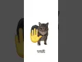 Download Lagu wait uia uia uia#cat #funny #cute #uia