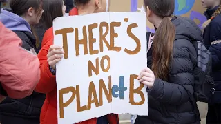 How We Can Save Coral Reefs & Humanity From Destruction