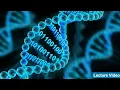 Lecture 5 - Intro to Colab and Getting Started in Python