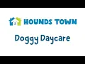 Hounds Town USA - Dog Daycare