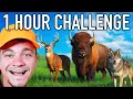 1 Hour Challenge Hunter Call of the Wild