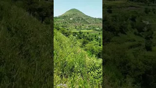 ريم البوادي 