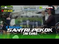 DINI KURNIA - SANTRI PEKOK (versi mberott) || ONE PRO - K5 MAXIMAL || RRB🐼ARWIB live REJOAGUNG