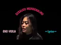 Download Lagu SESALKU MENGENALMU || ENO VIOLA || LYRICS @niakurniawati1413