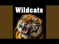 Download Lagu Jaguar Growling Angrily