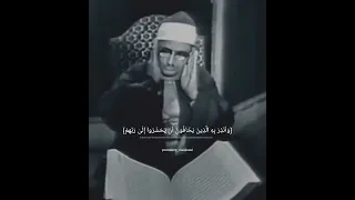 محمد صديق المنشاوي تلاوة مرئيه نادرة 