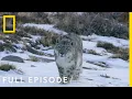 Download Lagu Mountains (Full Episode) | Hostile Planet