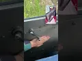 Old Logging Truck Vs Luxury Car