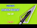 MAGNUS STINGER BUZZCUT 150 gr BROADHEAD TEST