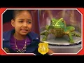 The Friggle Frog Test Odd Squad s Weirdest Exam Ever Odd Squad STEM Shows for Kids