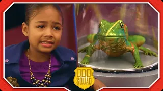 The Friggle Frog Test Odd Squad s Weirdest Exam Ever Odd Squad STEM Shows for Kids
