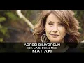 Adresi Biliyorsun DJ  L A G  Dance Mix   Nalan