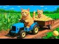 Download Lagu Mama Cat Falls Sick, Kitten Rushes Her to the Hospital Then Head Home Cleans Cooks \u0026 Helps Her Heal