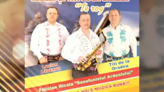 Download Titi Band Oradea Live- Te rog MP3