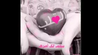 فضل شاكر ويارا أخدني معك دندنها