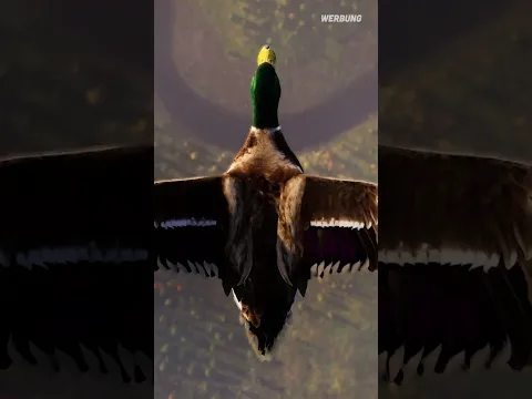 Neues Jagd-Spiel Way Of The Hunter 2