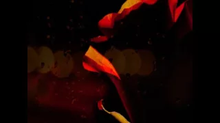 صباح اللامي كوكتيل 24 الجزء 2 