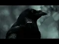Hollow Front - Death To My Name (Official Lyric Video)