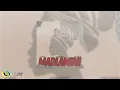 DoouShii and Scotts Maphuma   MaDlamini Feat  Mellow   Sleazy Official Audio