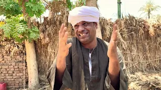 الحاج الضوى رفسه الحمار بسبب جوازه ولده 