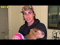 I Raised a Capybara! (100 Day Evolution)