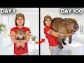 I Raised a Capybara 100 Day Evolution