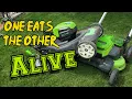 Greenworks Pro 80-Volt vs 60-Volt Dual Blade Mower A Raw Power Comparison