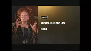 Hocus Pocus Bumper AMC 17