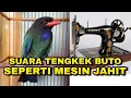 Download Lagu Tengkek buto sambung TEMBAKAN mesin jahit rusak belalang_ @sultanakbar