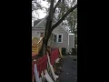Chicago Heights Project