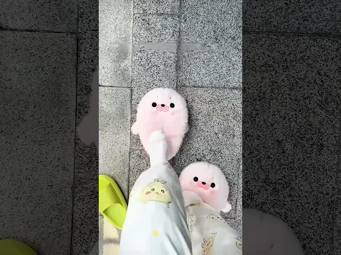 A Mãe Destruiu o Chinelo Dela