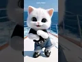 Download Lagu joget velocitty kucing lucu #kucing #joget #cat #cute #funny