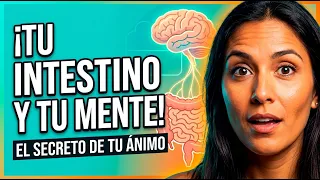 El eje Intestino-Cerebro y Tu Salud Mental | Tu Salud Guía