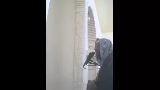 سورة الغاشية الشيخ سعيد المصري دندنها