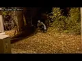 35 Most Terrifying SKINWALKER s Caught on Camera