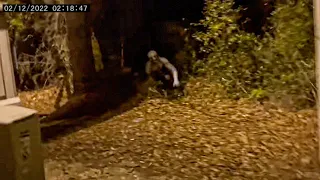 35 Most Terrifying SKINWALKER s Caught on Camera