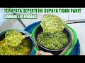 Download Lagu resep sambal ijo ala rumah makan padang yang enak dan tidak pahit