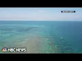 Record summer heat endangering coral reefs near Miami