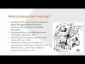 BSA Canary Patching