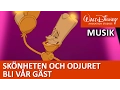 Download Lagu Lumiere sjunger: Bli vår gäst - Disneyklassiker Sverige