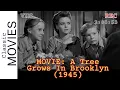 Lagu Old black and white movies - A Tree Grows In Brooklyn (1945) - Breathtaking Classic Drama,Full Movie