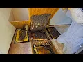 Download Lagu Biggest Hive We've Discovered in Years — Over 100,000 Bees Inside!