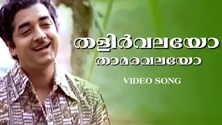 Download Thalirvalayo | Cheenavala | Prem Nazeer | Jayabharathi | Yesudas | M K Arjunan | Kunchacko MP3