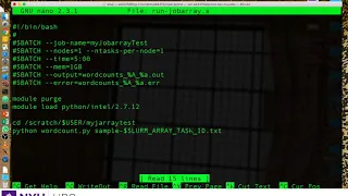 Running a job array using Slurm job scheduler